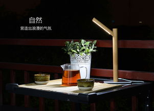 实木LED阅读台灯 第二自然的光影哲学